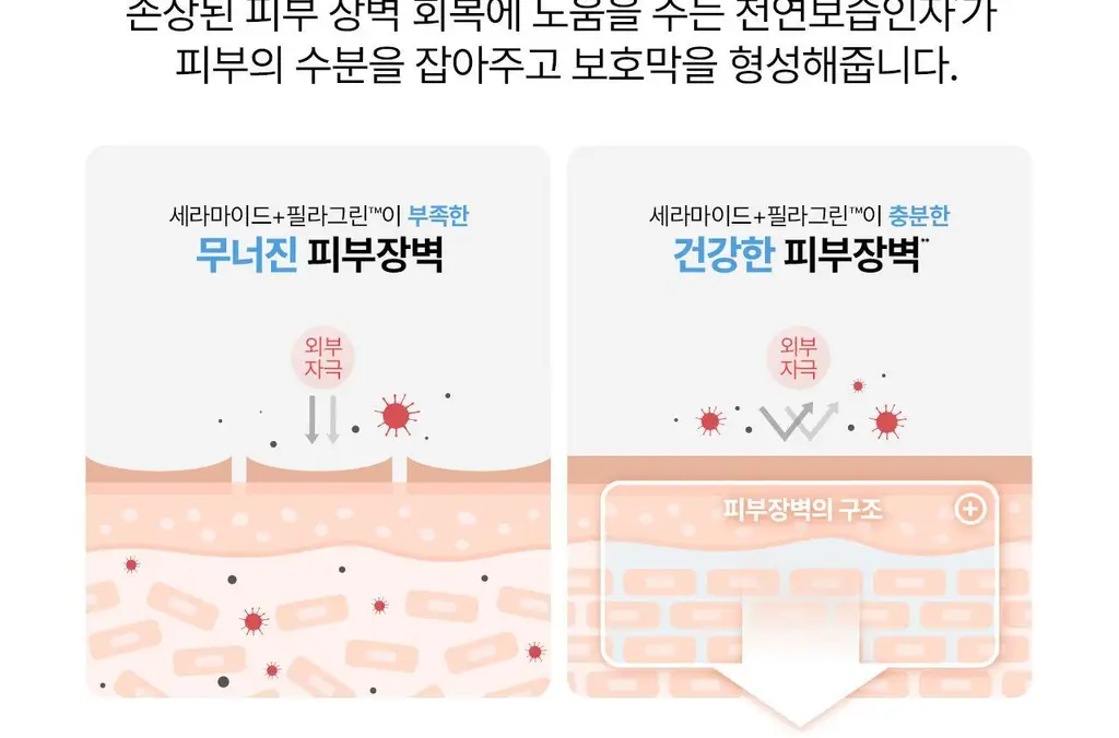 [크림50g증정/가려움완화] 세타필 세라마이드 리페어 로션 473ml 상세페이지 12